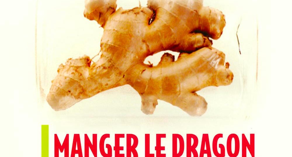 Livre Manger le Dragon
